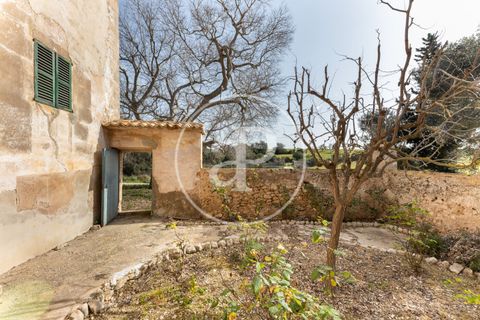 Farm hus i Algaida, Mallorca, Algaida - € 4.200.000 | Ref: VPM2303027 - foto 42