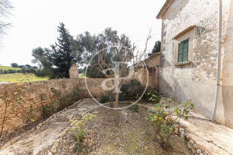 Farm hus i Algaida, Mallorca, Algaida - € 4.200.000 | Ref: VPM2303027 - foto 43