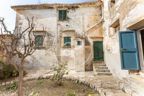 Farm hus i Algaida, Mallorca, Algaida - € 4.200.000 | Ref: VPM2303027 - foto 44