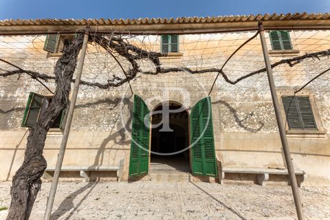 Farm hus i Algaida, Mallorca, Algaida - € 4.200.000 | Ref: VPM2303027 - foto 45