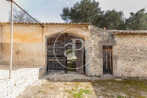 Farm hus i Algaida, Mallorca, Algaida - € 4.200.000 | Ref: VPM2303027 - foto 46