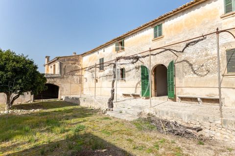 Farm hus i Algaida, Mallorca, Algaida - € 4.200.000 | Ref: VPM2303027 - foto 48