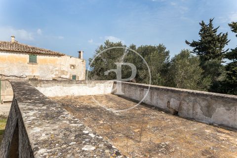 Farm hus i Algaida, Mallorca, Algaida - € 4.200.000 | Ref: VPM2303027 - foto 49