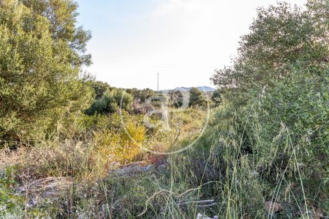 Helårsgrund i Manacor, Mallorca, Manacor - € 150.000 | Ref: VPM2305004 - foto 6