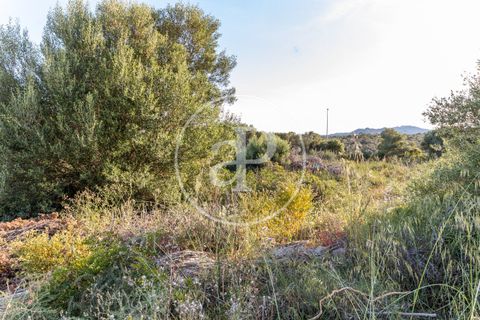 Helårsgrund i Manacor, Mallorca, Manacor - € 150.000 | Ref: VPM2305004 - foto 7