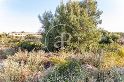 Helårsgrund i Manacor, Mallorca, Manacor - € 150.000 | Ref: VPM2305004 - foto 8