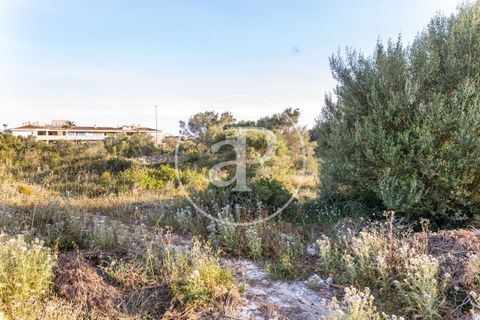 Helårsgrund i Manacor, Mallorca, Manacor - € 150.000 | Ref: VPM2305004 - foto 9