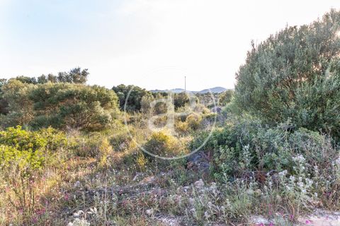 Helårsgrund i Manacor, Mallorca, Manacor - € 150.000 | Ref: VPM2305004 - foto 11