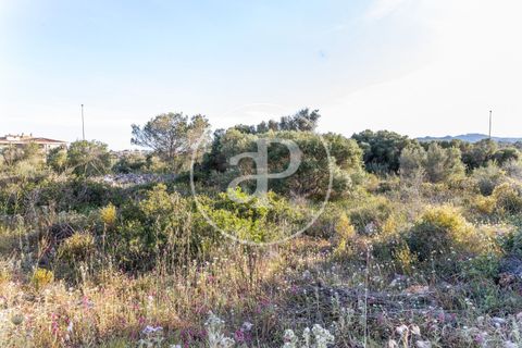 Helårsgrund i Manacor, Mallorca, Manacor - € 150.000 | Ref: VPM2305004 - foto 12