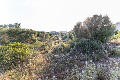 Helårsgrund i Manacor, Mallorca, Manacor - € 150.000 | Ref: VPM2305004 - foto 13