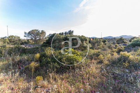 Helårsgrund i Manacor, Mallorca, Manacor - € 150.000 | Ref: VPM2305004 - foto 14