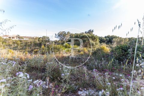 Helårsgrund i Manacor, Mallorca, Manacor - € 150.000 | Ref: VPM2305004 - foto 15
