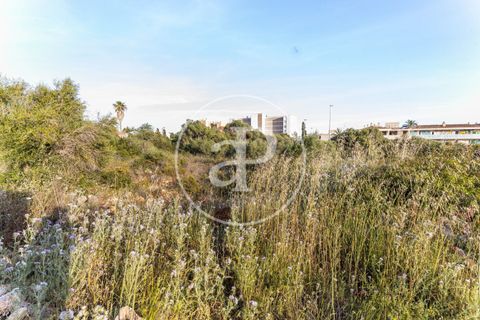 Helårsgrund i Manacor, Mallorca, Manacor - € 150.000 | Ref: VPM2305004 - foto 16