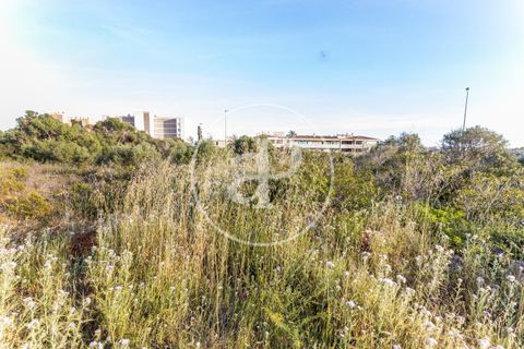 Helårsgrund i Manacor, Mallorca, Manacor - € 150.000 | Ref: VPM2305004 - foto 17