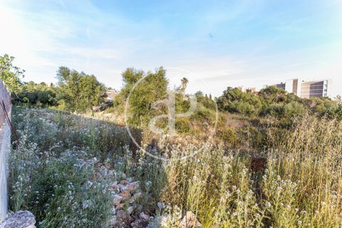 Helårsgrund i Manacor, Mallorca, Manacor - € 150.000 | Ref: VPM2305004 - foto 18