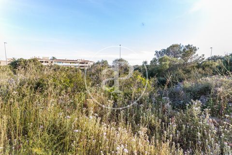 Helårsgrund i Manacor, Mallorca, Manacor - € 150.000 | Ref: VPM2305004 - foto 19