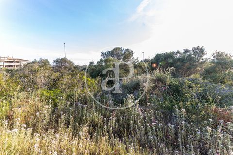 Helårsgrund i Manacor, Mallorca, Manacor - € 150.000 | Ref: VPM2305004 - foto 20
