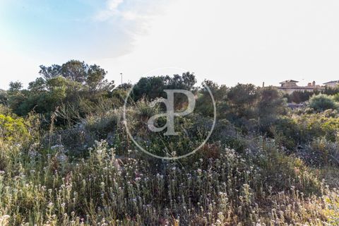 Helårsgrund i Manacor, Mallorca, Manacor - € 150.000 | Ref: VPM2305004 - foto 21