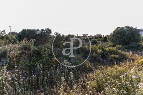 Helårsgrund i Manacor, Mallorca, Manacor - € 150.000 | Ref: VPM2305004 - foto 22