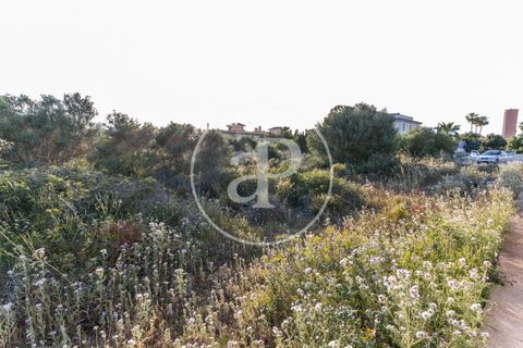 Helårsgrund i Manacor, Mallorca, Manacor - € 150.000 | Ref: VPM2305004 - foto 23