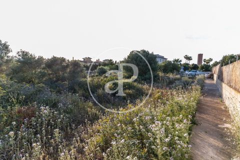 Helårsgrund i Manacor, Mallorca, Manacor - € 150.000 | Ref: VPM2305004 - foto 24