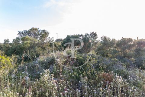Helårsgrund i Manacor, Mallorca, Manacor - € 150.000 | Ref: VPM2305004 - foto 25