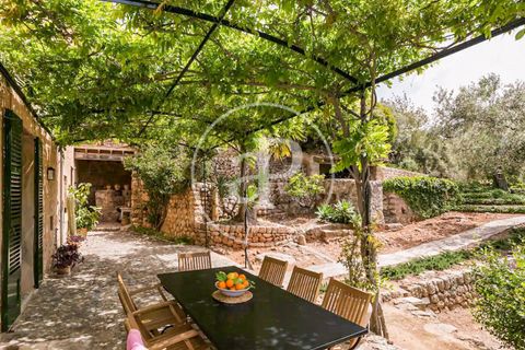 Villa in Soller, Mallorca, Soller - € 10,000/month | Ref: APMS2306050 - photo 1