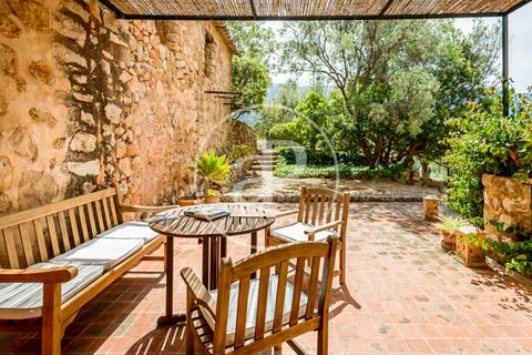 Villa in Soller, Mallorca, Soller - € 10,000/month | Ref: APMS2306050 - photo 13
