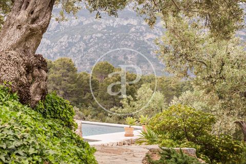 Villa in Soller, Mallorca, Soller - € 10,000/month | Ref: APMS2306050 - photo 14