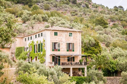 Villa in Soller, Mallorca, Soller - € 10,000/month | Ref: APMS2306050 - photo 15