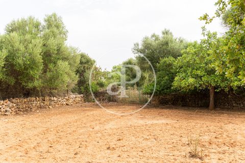 Helårsgrund i Manacor, Mallorca, Manacor - € 390.000 | Ref: VPM2307003 - foto 11