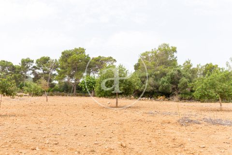 Helårsgrund i Manacor, Mallorca, Manacor - € 390.000 | Ref: VPM2307003 - foto 18