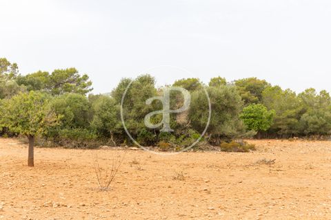 Helårsgrund i Manacor, Mallorca, Manacor - € 390.000 | Ref: VPM2307003 - foto 19