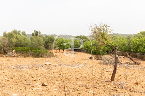 Helårsgrund i Manacor, Mallorca, Manacor - € 390.000 | Ref: VPM2307003 - foto 20