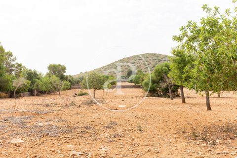 Helårsgrund i Manacor, Mallorca, Manacor - € 390.000 | Ref: VPM2307003 - foto 21