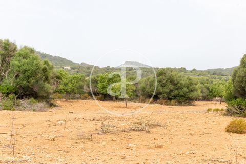Helårsgrund i Manacor, Mallorca, Manacor - € 390.000 | Ref: VPM2307003 - foto 22