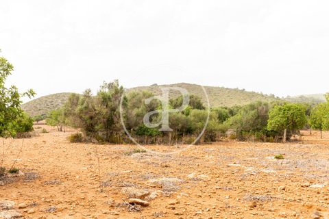 Helårsgrund i Manacor, Mallorca, Manacor - € 390.000 | Ref: VPM2307003 - foto 24