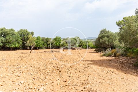Helårsgrund i Manacor, Mallorca, Manacor - € 390.000 | Ref: VPM2307003 - foto 27