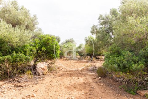 Helårsgrund i Manacor, Mallorca, Manacor - € 390.000 | Ref: VPM2307003 - foto 28