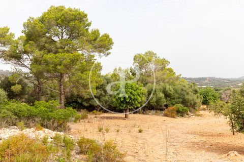 Helårsgrund i Manacor, Mallorca, Manacor - € 390.000 | Ref: VPM2307003 - foto 30