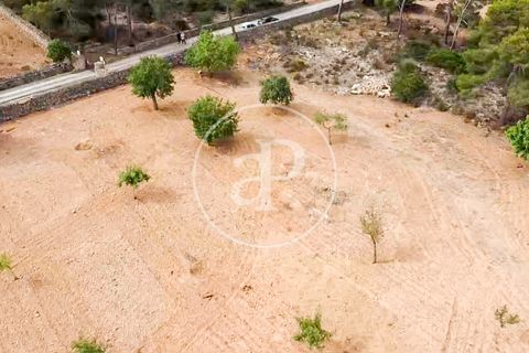 Helårsgrund i Manacor, Mallorca, Manacor - € 390.000 | Ref: VPM2307003 - foto 34