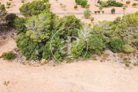 Helårsgrund i Manacor, Mallorca, Manacor - € 390.000 | Ref: VPM2307003 - foto 35