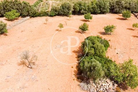 Helårsgrund i Manacor, Mallorca, Manacor - € 390.000 | Ref: VPM2307003 - foto 39