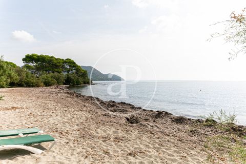 Villa in Son Servera, Mallorca, Son Servera - € 2,200/month | Ref: APMS2309028 - photo 33