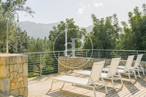 Villa a Pollenca, Mallorca, Pollenca - € 10.000/mes | Ref: APMS2310045 - foto 23