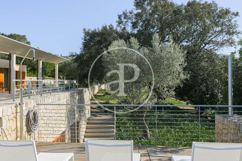 Villa a Pollenca, Mallorca, Pollenca - € 10.000/mes | Ref: APMS2310045 - foto 24
