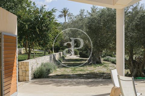 Villa a Pollenca, Mallorca, Pollenca - € 10.000/mes | Ref: APMS2310045 - foto 27