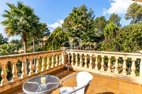 Villa a Bunyola, Mallorca, Bunyola - € 9.500/mes | Ref: APMS2403002 - foto 26