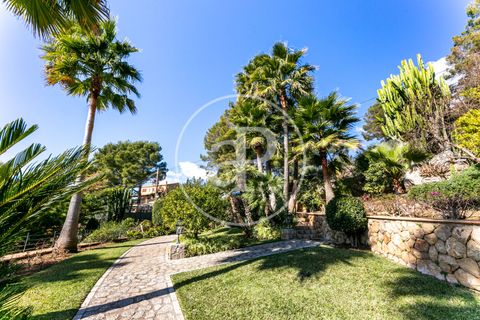 Villa a Bunyola, Mallorca, Bunyola - € 9.500/mes | Ref: APMS2403002 - foto 34