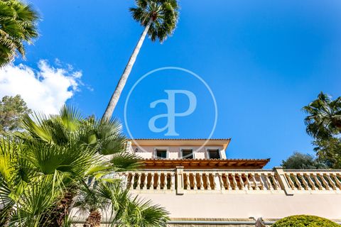 Villa a Bunyola, Mallorca, Bunyola - € 9.500/mes | Ref: APMS2403002 - foto 35